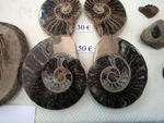 GMA. 7ª Mesa de Minerales de Extremadura. Santa Marta de los Barrios. Badajoz