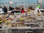 GMA. Primera Bolsa de Minerales Ciudad de Jaen