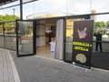GMA. MINERALIA´s SEVILLA. II Exposición-Bolsa Internacinal de Minerales, Fósiles y Gemas