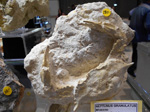 FEM. MINERALIA´s SEVILLA. II Exposición-Bolsa Internacinal de Minerales, Fósiles y Gemas
