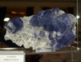 GMA. XXII Feria de Minerales y Fósiles dela Unión