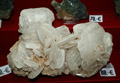 GMA. XXII Feria de Minerales y Fósiles dela Unión