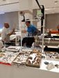 GMA. MINERALIA´s SEVILLA. XXXIExposición-Bolsa Internacional de Minerales, Fósiles y Gemas
