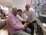 GMA. MINERALIA´s SEVILLA. XXXIExposición-Bolsa Internacional de Minerales, Fósiles y Gemas