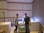 GMA. MINERALIA´s SEVILLA. XXXIExposición-Bolsa Internacional de Minerales, Fósiles y Gemas