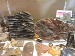 GMA. MINERALIA´s SEVILLA. XXXIExposición-Bolsa Internacional de Minerales, Fósiles y Gemas