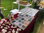 GMA. IX Mesa de Venta e Intercambio de Minerales de Colmenar