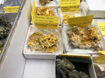 GMA. IX Mesa de Venta e Intercambio de Minerales de Colmenar