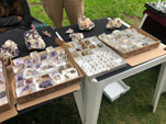 GMA. IX Mesa de Venta e Intercambio de Minerales de Colmenar