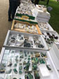GMA. IX Mesa de Venta e Intercambio de Minerales de Colmenar