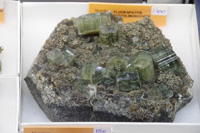 GMA. MINERALEXPO Barcelona Sants 2019