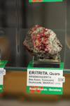 GMA. MINERALEXPO Barcelona Sants 2019