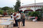 GMA. I Mesa de Intercambio de Minerales de Alicante