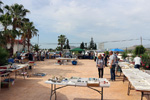 GMA. I Mesa de Intercambio de Minerales de Alicante