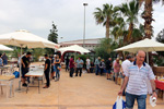 GMA. I Mesa de Intercambio de Minerales de Alicante