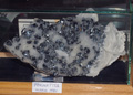 VII Feria de Minerales de Oliva.  