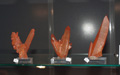 VII Feria de Minerales de Oliva.  