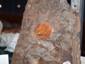 VII Feria de Minerales de Oliva.  