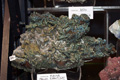 VII Feria de Minerales de Oliva.  