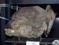 VII Feria de Minerales de Oliva.  