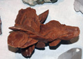 VII Feria de Minerales de Oliva.  