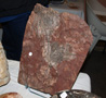 VII Feria de Minerales de Oliva.  