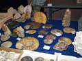 VII Feria de Minerales de Oliva.  