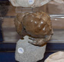 VII Feria de Minerales de Oliva.  