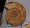 VII Feria de Minerales de Oliva.  