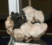 VII Feria de Minerales de Oliva.  