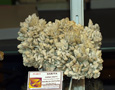 VII Feria de Minerales de Oliva.  