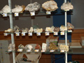 VII Feria de Minerales de Oliva.  