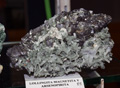 VII Feria de Minerales de Oliva.  