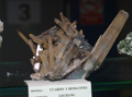 VII Feria de Minerales de Oliva.  