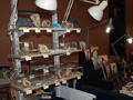 VII Feria de Minerales de Oliva.  