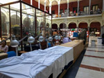 GMA. EXPOMINERALES MADRID 2020