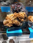 GMA. MINERALEXPO Barcelona-Sants 2020