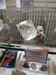 GMA. MINERALEXPO Barcelona-Sants 2020