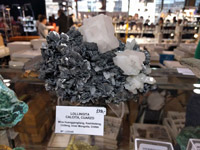 GMA. MINERALEXPO Barcelona-Sants 2020