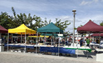 GMA.III Feria de Minerales. Cartama 2021