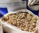 MINERALEXPO San Celoni 2023