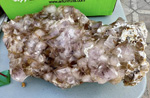 IX Mesa de Intercambio de Minerales y Fósiles de Alicante. 