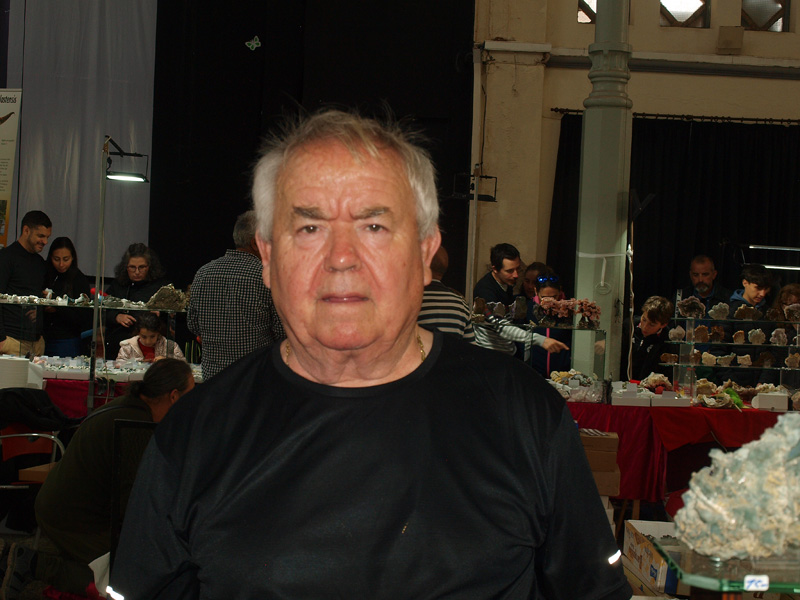 Stand de: Juan Llorente Gómez. XXVI Feria de Minerales y Fósiles