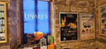 XX Exposición de Minerales de Linares 