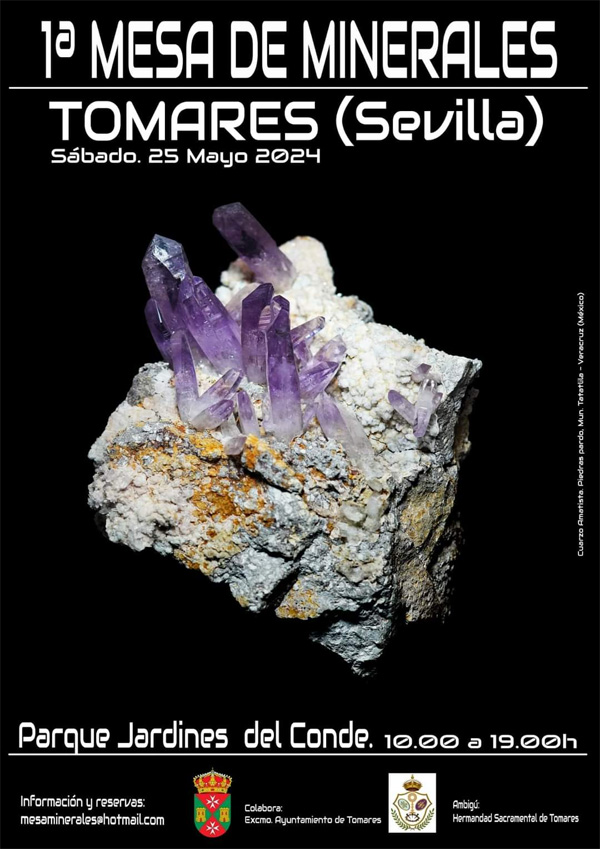 I Mesa de Minerales de Tomares. Sevilla.