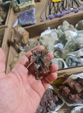 III Feria de Minerales Bella Jarifa