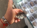 III Feria de Minerales Bella Jarifa
