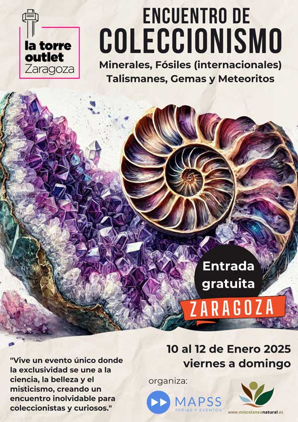 Encuentro de coleccionismo. Zaragoza 2025