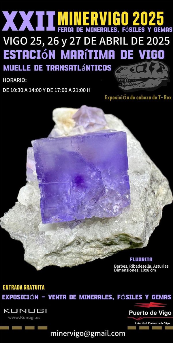  XXII Minervigo 2025 