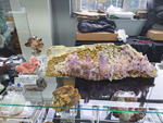 XXII Minervigo 2025 